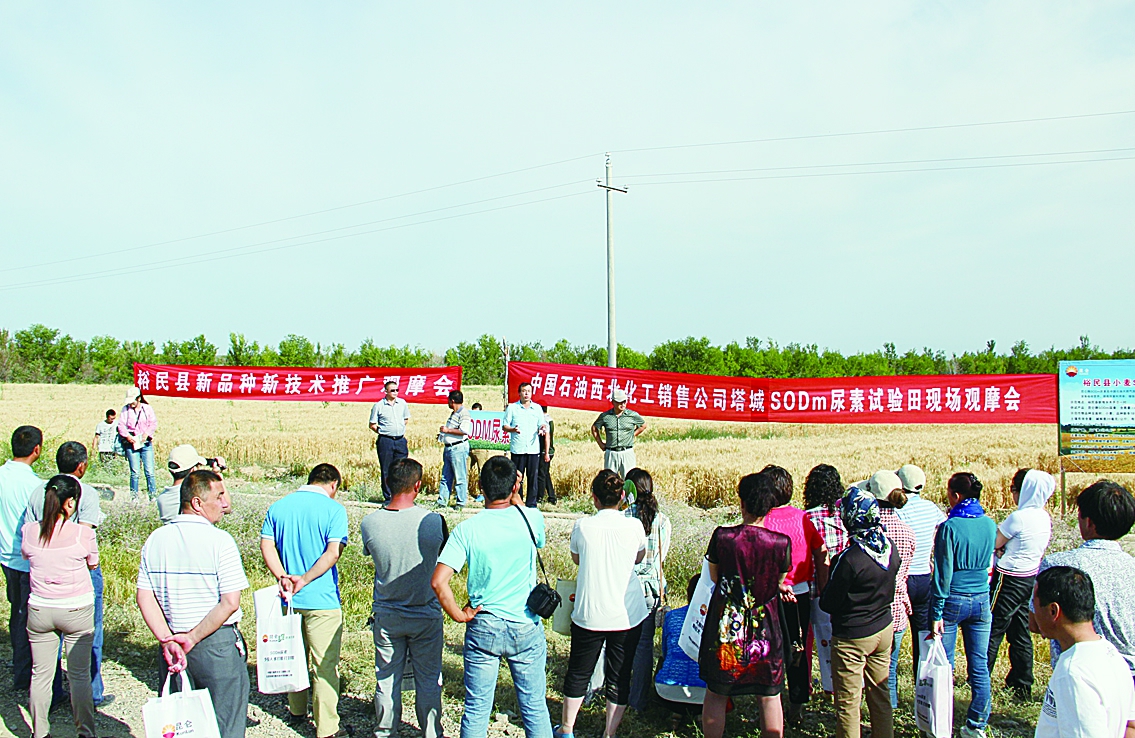 新疆塔城裕民县示范田现场观摩会