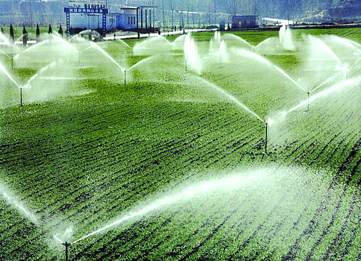 增收下一站:水肥一体化