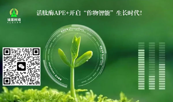 640.webp (2).png