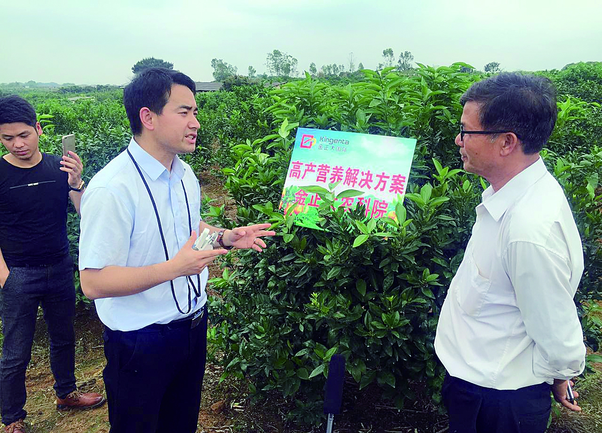 金正大农化服务专家为农户讲解柑橘营养方案。  （本报记者吴俊生摄）
